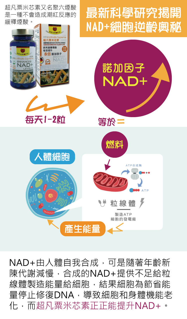 NAD+由人體自我合成，可是隨著年齡新陳代謝減慢，合成的NAD+提供不足給粒線體製造能量給細胞，結果細胞為節省能量停止修復DNA，導致細胞和身體機能老化，而超凡粟米芯素正正能提升NAD+。