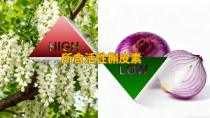 槐樹花槲皮素